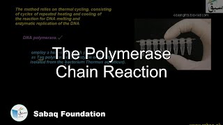 The Polymerase Chain Reaction Biology Lecture  Sabaqpk [upl. by Anissa]