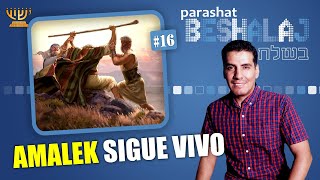 ️​ ¡CUIDADO AMALEK SIGUE VIVO ​​ │ Parashat BESHALAJ [upl. by Noeled]