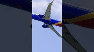 Southwest Airlines B737 takeoff in HNL Int’l Airport southwestairlines hnlairport aviation 2024 [upl. by Simpkins]