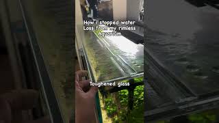 This Is How I Stopped The Evaporation From My Rimless Aquarium Tropicalfish Rainbowfish [upl. by Atokad900]