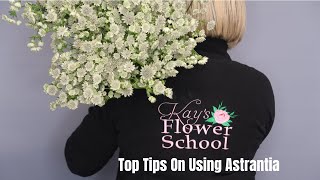 Top Tips on Conditioning and Using Astrantia [upl. by Ralat]