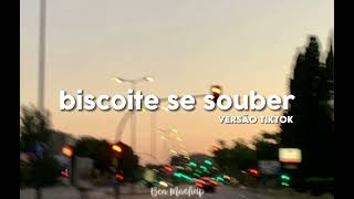 BISCOITE SE SOUBER 2023  TIKTOK 2023 BEA MASHUP [upl. by Tirrell]