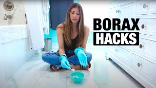 7 Borax Hacks That Will Blow Your Mind [upl. by Aihseuqal]