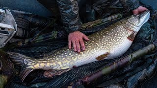 The BIGGEST PIKE Weve Ever Seen  Broadland Beasts [upl. by Anuala]