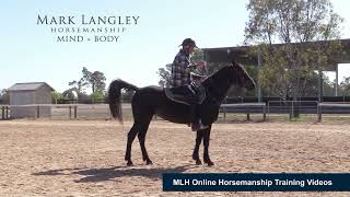 Section from one of my Horsemanship Training Videos  helping a horse who is v Sensitive to Legs [upl. by Nedrob702]