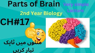 parts of human brain  12 Class biology  2ndyearbiology [upl. by Enrika]