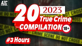 TRUE CRIME COMPILATION  20 Cold Cases amp Murder Mysteries Solved in 2023  3 Hours [upl. by Esilanna939]