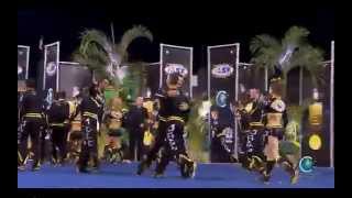 Top Gun All Stars  Large Coed 2014 Senior Large Coed Finals MultiCam [upl. by Lynnet824]