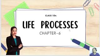 Life ProcessesHuman Digestive System Lecture3Class 10thCBSE [upl. by Yeslrahc]