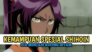 KENAPA YORUICHI SHIHOUIN BISA MENJADI KUCING HITAM bleach [upl. by Armalla957]