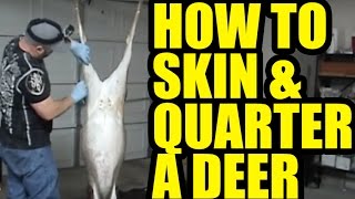 How to Skin amp Quarter a Deer [upl. by Attayek]