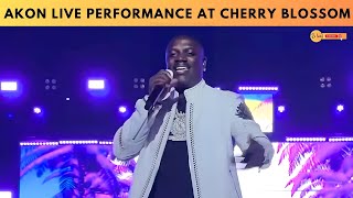 Akon Live Performance at Cherry Blossom Festival 2024 [upl. by Zsamot]