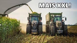 AGRARLOHN Müritz im Mais 2020 Claas Jaguar 990 im Ersteinsatz Blackbeauty Traktoren und Agrotruck [upl. by Arateehc]