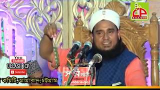 নবীজি দঃ এলমে গায়েব জানেন  MAWLANA SOUROB HOSSAIN JALALI  BANGLA WAZ  ULLASH ICP  2018 [upl. by Nire]