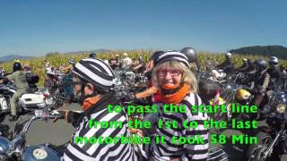 EuropeanBikeweek 2015 Part IV Harley Parade [upl. by Annaeirb]