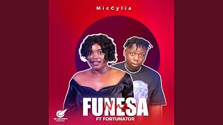 Funesa Nne feat Fortunator amp NTK wadi beat [upl. by Niknar]