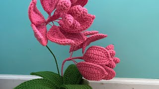 Flor 🌺 Medinilla paso a paso 🥰🧶 [upl. by Nivlen282]