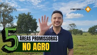 5 áreas promissoras do Agronegócio  Não fique de fora [upl. by Ama]