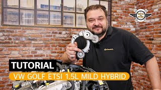 DE Keilrippenriemen am Auto wechseln Mild Hybrid mit OmegaSpanner  Watch and Work Tutorial [upl. by Kemppe705]