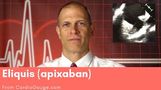 Eliquis apixaban Basics about this medicine its use effectiveness and side effects [upl. by Anirod]