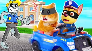 Can Hamster Escapes the Guard🐹Hamster Kombat🐹New Pets 2024🐹HammyHappyTDC [upl. by Gnoht944]