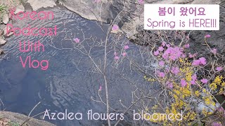 Sub KorEng Korean Podcast with Vlog Ep4 봄이 왔어요Spring is HERE [upl. by Ahmar]