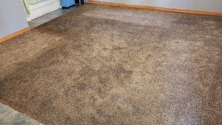 Dark Traffic Worn Out Carpet Cleaning [upl. by Bender]