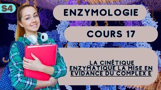 Enzymologie S4 La cinétique enzymatique La mise en evidance du complex E cour svi [upl. by Nylirej]