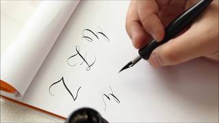 The Letter Z  Basic Calligraphy Tutorial [upl. by Aivax]