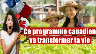 Révélation Choc  Le Programme Pilote Canadien Qui Change Tout [upl. by Iphagenia]