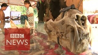 Undercover in Myanmars Sin city where anything goes  BBC News [upl. by Aicirtak]