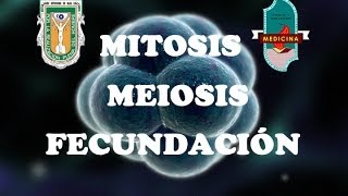 Mitosis Meiosis y Fecundación [upl. by Lahsram]