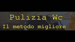 COME PULIRE E SANIFICARE CASSETTA DI SCARICO WC [upl. by Picardi]