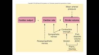 Unit 3 Part 8 Cardiac Output [upl. by Sirois]