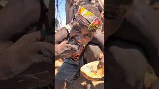 This is incredible delicious soup cooked by Hadza Bushmen naturally 😋😲hadzabetribe villagelife [upl. by Hteb]