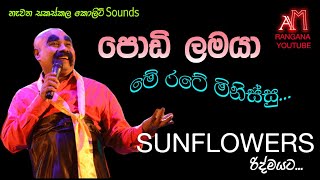 PODI LAMAYA ME RATE MINISSU WITH SUNFLOWER LIVE SHOW පොඩි ලමයා සමග පැරණි සන්ෆ්ලවර් Recreated sounds [upl. by Alocin361]