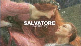 Lana Del ReySalvatore Lyrics [upl. by Imehon]