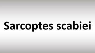 How to Pronounce Sarcoptes scabiei [upl. by Erbes]