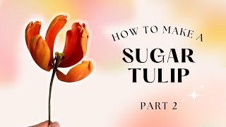 How to Make a Sugar Tulip  Gumpaste Flowers  PART 2 with Finespun Cakes [upl. by Nessim]