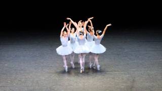 Vienna State Opera funny ballet Слава Україні [upl. by Lleinad]