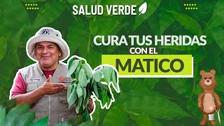 SaludVerde  Beneficios de consumir matico [upl. by Aicenra]