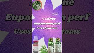 Eupatorium perf Homeopathic Medicine  Eupatorium perf 30  200  benefits Identifying Symptoms [upl. by Airdnazxela]