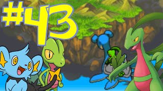 Pokémon Mystery Dungeon Explorers of Sky  Episode 43 [upl. by Boeschen]