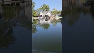 duck lakelife lake lakeview michiganwildlife michiganhomes lakeside michigan [upl. by Sergei]