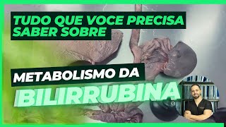 Metabolismo da bilirrubina [upl. by Salvucci]