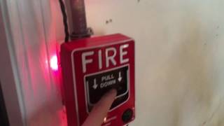 Fire alarm system test 3 [upl. by Adnwahsat]