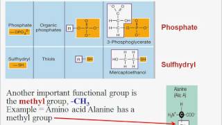 Macromolecules Part One Introduction [upl. by Jollenta]