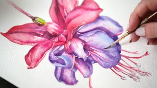 Watercolor Fuchsia 💜 Tutorial in 3 Layers [upl. by Ladin]