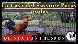 QUINTA LOS FRESNOS y sus Instalaciones de la gallera en GUANAJUATO  CHILO RUEDA [upl. by Levon]