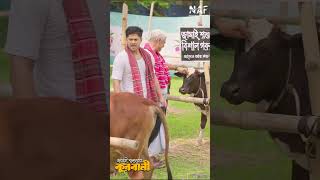 Jamai Shoshur Er Qurbani  Niloy Alamgir  Heme  Eid Natok shorts banglanatok niloyalamgir [upl. by Neelloc]